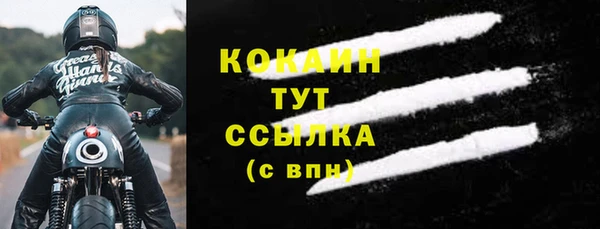 тгк Алексин