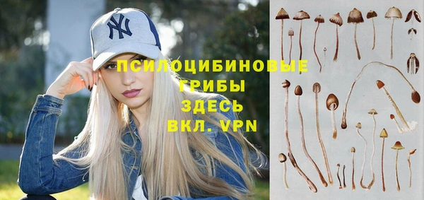 скорость Алзамай