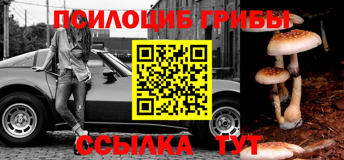 Псилоцибиновые грибы мухоморы  Вход с VPN  Раменское  Галлюциногенные грибы Psilocybine cubensis 